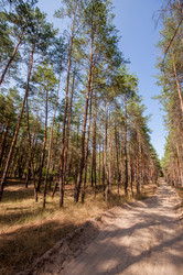 Similar image 13041685