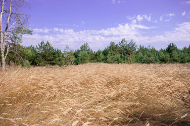 Similar image 13041687