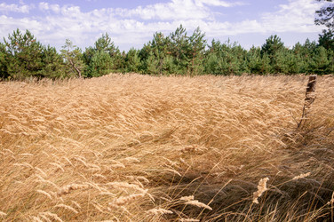 Similar image 13041688