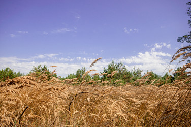 Similar image 13041699