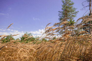 Similar image 13041700