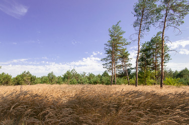 Similar image 13041703