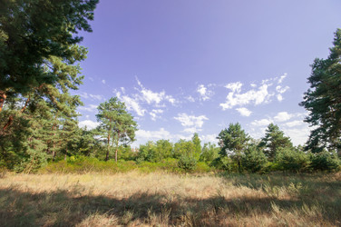 Similar image 13041705