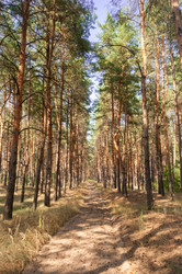 Similar image 13041706