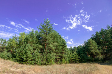 Similar image 13041708