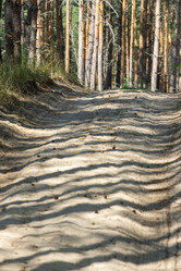 Similar image 13041709