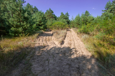 Similar image 13041711