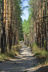 Similar image 13041713