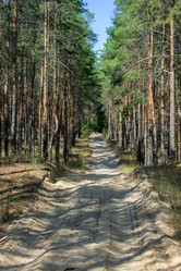 Similar image 13041715