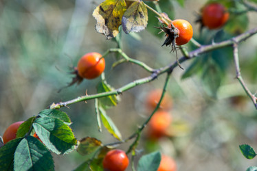 Similar image 13041716