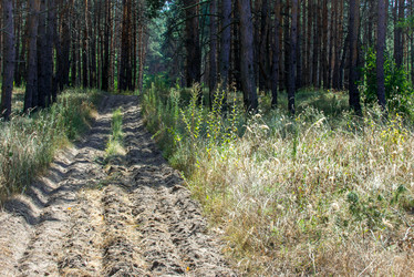 Similar image 13041717