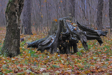 Similar image 13043812