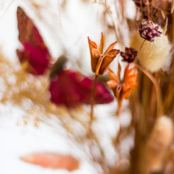 Similar image 13028564