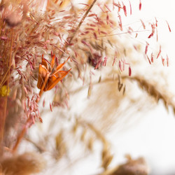 Similar image 13028565