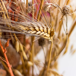 Similar image 13028566