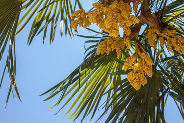 Similar image 13059821