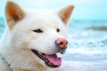 Similar image 13041627