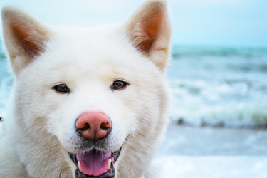 Similar image 13041628