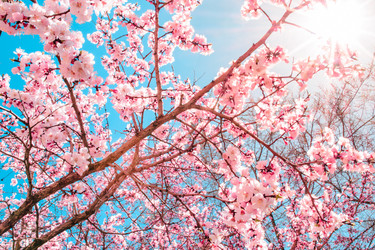 Similar image 13041633