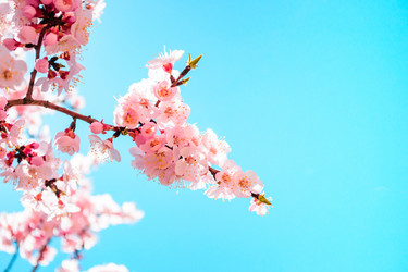 Similar image 13041634