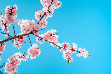 Similar image 13041635