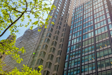 Similar image 13041743