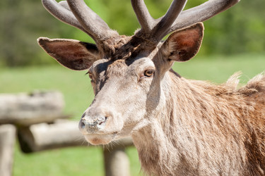 Similar image 13059883