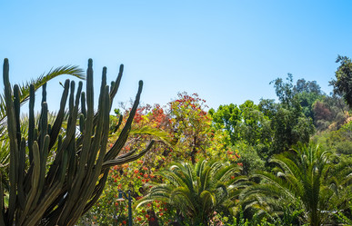 Similar image 13044949