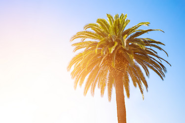 Similar image 13044950