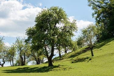 Similar image 13059804