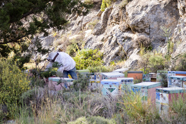 Similar image 13028546