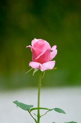 Similar image 13028569