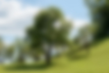 Similar image 13059827