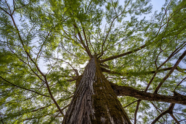 Similar image 13062091