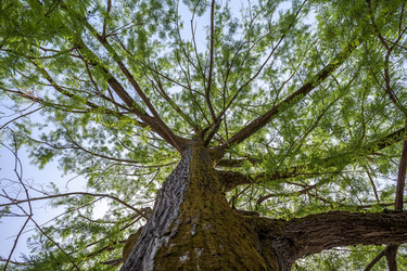 Similar image 13062092