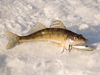 Similar image 13028551