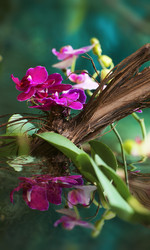 Similar image 13032354