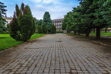 Similar image 13043538