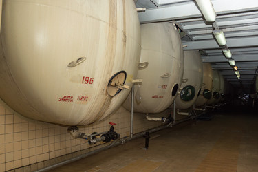 Similar image 13032956