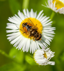 Similar image 13061830