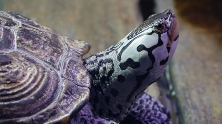 Similar image 13032234