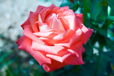 Similar image 13032338