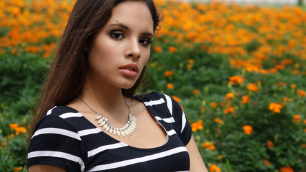 Similar image 13032237