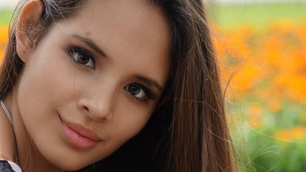 Similar image 13032239