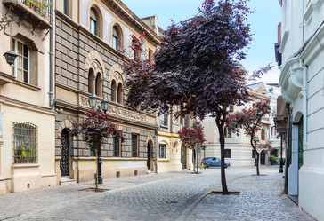 Similar image 13044957