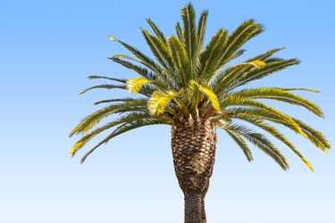 Similar image 13044964