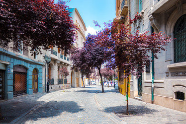 Similar image 13044969