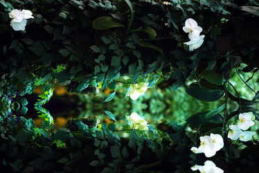 Similar image 13032345