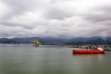 Similar image 13032967