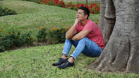 Similar image 13044451